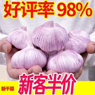 农家大蒜金乡新大蒜2023干蒜紫皮新鲜蔬菜特级红皮大蒜头