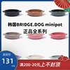 韩国进口Bridge.dog mini pot迷你双耳锅宠物陶瓷碗BD碗猫碗狗碗