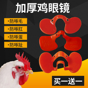 鸡用防啄鸡眼镜小鸡戴的带孔眼睛无栓大号，鸡用眼罩土鸡公鸡防打架