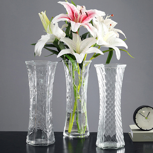 轻奢北欧大号水培玻璃花瓶，高透明(高透明)水养富贵竹，百合干花插花摆件客厅
