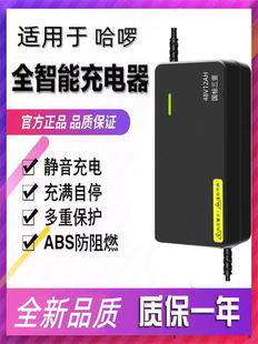 适用于哈啰棒途48V12AH48V20AH60V20AH铅酸锂电池专用充电器