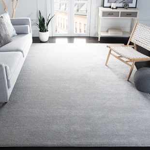 加厚加密地毯客厅茶几，垫轻奢高级纯灰色，大面积2023卧室地毯