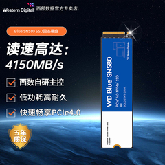 WD西部数据1TBM.2高速固态硬盘