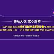 骑炫车载冰箱压缩机大货车冷藏冷冻车家两用制冷迷你小冰柜12V24V