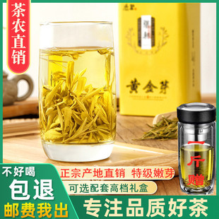 正宗黄金芽茶叶，2024年新茶安吉春茶特级白茶绿茶，250g礼盒装黄金茶