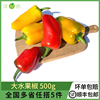 新鲜大水果椒500g 彩椒甜椒辣椒沙拉凉拌食材蔬菜 满5件