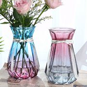 两件套欧式玻璃花瓶透明彩色水培植物富贵竹干花装饰插花摆件