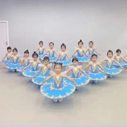 儿童芭蕾舞裙演出服tutu蓬蓬，纱裙小天鹅舞蹈，吊带女童芭蕾表演服装