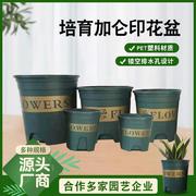 供应家用培育加仑印花盆塑料 多样镂空排水设计加厚美观花盆