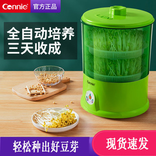 康丽豆芽机家用全自动智能多功能发芽豆牙盆神器桶自制生绿豆芽罐