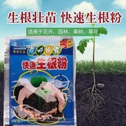 生根粉植物快速发根多菌肥料通用型花卉扦插移栽壮根壮苗发根剂液