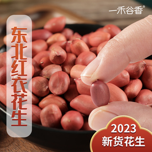 一禾谷香东北红衣，花生米2023新货不带壳新鲜红皮花生米豆浆熬粥
