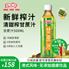 鸿福堂甘蔗汁500ml*8瓶装植物，饮品新鲜榨汁竹蔗茅根水清爽润喉