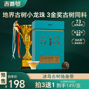 吉普号2024年春茶613冰岛，地界迷你小沱茶叶普洱茶生茶