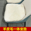 澳洲皮毛一体纯羊毛办公椅子垫 凳子餐椅 羊毛沙发坐垫小圆垫保暖