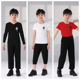 男童舞蹈练功服套装儿童拉丁舞服装少儿中国舞长袖男孩形体考级服