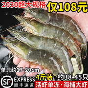 2030大虾鲜活速冻超大新鲜冷冻海虾大对虾青虾，基围虾青岛海鲜水产
