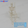 22cm仿真全身人体骨骼模型可拆卸小白骨架标本幼儿启蒙玩具艺用
