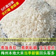 梅州飘香大米农家种植冬晚稻谷早稻煮粥浓稠饭软香5斤发当稻新米