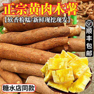 黄肉木薯新鲜现挖10斤广西特产黄心面包木薯羹糖水蜜薯板栗农家