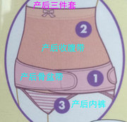 日本犬印产后顺产剖产立穿柔软弹力式束缚带盆骨带3件套