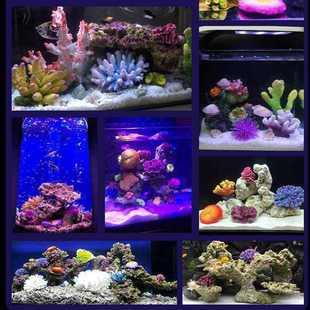 4S0网红新天然珊瑚花礁石贝壳鱼缸造景居装饰品水族馆橱窗样