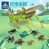 开智昆虫积木8盒装蚂蚱金龟子蟋蟀组装模型儿童拼装拼插玩具80041