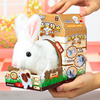 小白兔毛绒玩具仿真电动玩偶狗男宝宝会走的兔子女孩儿童六一礼物