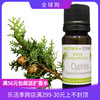 法国aroma zone AZ 西班牙野生丝柏单方精油100ml cypres