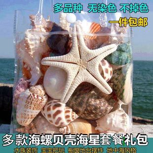 海螺贝壳海星套餐 鱼缸水族装饰 橱窗地台居家摆件儿童玩具小礼物