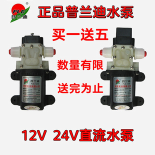小型增压电动普兰迪直流微型水泵隔膜泵自吸泵，12v24v小水泵抽水泵