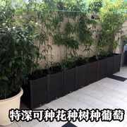 阳台种菜盆家庭特大长条花盆塑料蔬菜种植箱长方形种植槽果树葡萄