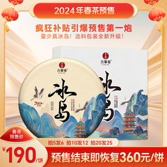 古寨春2024年冰岛普洱茶生茶春茶