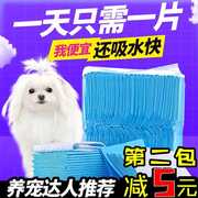 宠物尿垫狗狗尿片，100片宠物用品泰迪加厚除臭吸水尿布尿不湿