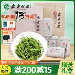 安吉白茶2024新茶特级绿茶叶250g送礼盒装半斤春茶