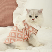 猫咪衣服冬季冬装的布偶冬天保暖小猫可爱秋装银渐层幼猫宠物猫猫