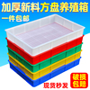 塑料盘周转箱塑胶箱收纳筐长方形，盆子黄粉蛋白养殖海鲜浅盘塑料框