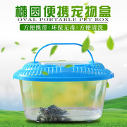 供应中号简易型塑料小鱼缸塑料，乌龟缸小爬虫盒子塑料宠物盒
