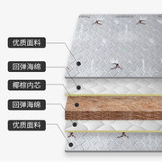 椰棕床垫硬垫儿童床棕垫1.8m1.5米，折叠1.2米棕榈垫榻榻米垫子定制