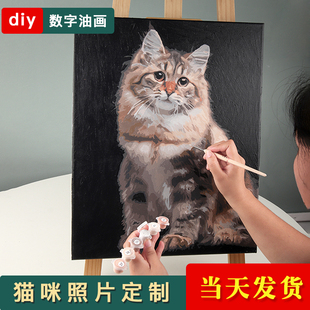 数字油画宠物猫咪照片diy定制手工油彩画画动物填色填充手作装饰