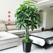 仿真发财树植物假花客厅，假树大型落地花艺塑料，花盆景盆栽装饰