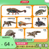 schleich思乐鳄鱼14736仿真模型爬行动物玩具龟变色龙巨蜥蝎鬣蜥