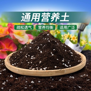 营养土养花通用专用种菜土壤种植土椰砖多肉育苗家用种花泥土疏松