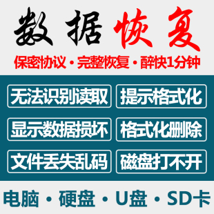 电脑固态移动硬盘数据，恢复u盘维修内存，sd卡照片文件远程修复服务