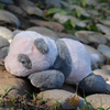 可爱熊猫幼崽公仔毛绒玩具肉粉色幼龄熊猫宝宝玩偶粉嫩嫩熊猫礼物