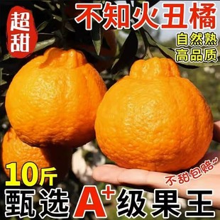 四川正宗不知火丑橘，9斤新鲜水果，橘子当季耙耙粑粑桔子整箱