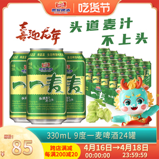 惠泉啤酒一麦啤酒9度330ml*24听装啤酒整箱，聚会纯正烧烤春游必备