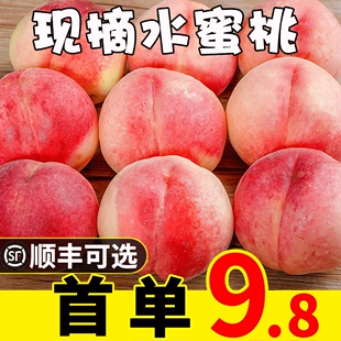 水蜜桃10斤水果新鲜当季整箱脆甜毛桃应季现摘时令油密软桃子