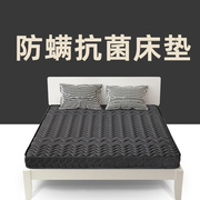 椰棕床垫硬垫折叠棕垫1.8米1.5 1.2乳胶床垫家用偏硬棕榈垫子