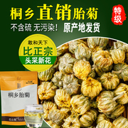 菊花茶杭白菊桐乡胎菊王特级250g头采杭菊贡菊散装